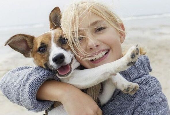 parasitic infection of a dog